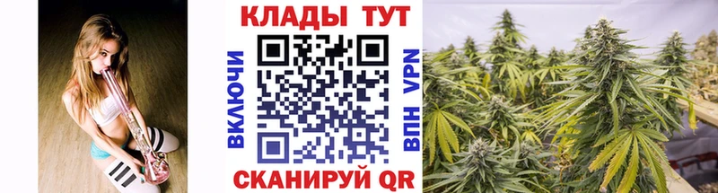 Где купить наркотики Новокубанск Бошки Шишки Alpha-PVP АМФ ГАШ Псилоцибиновые грибы COCAIN Мефедрон