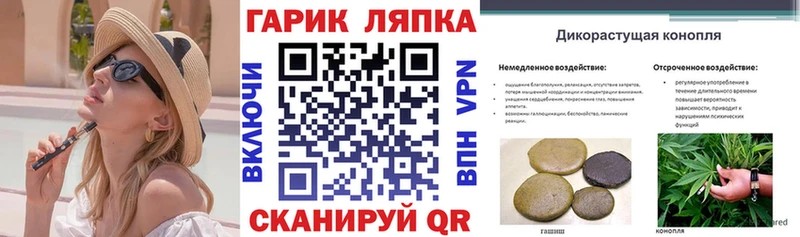 ГАШ 40% ТГК  ОМГ ОМГ как зайти  Новокубанск  купить закладку 