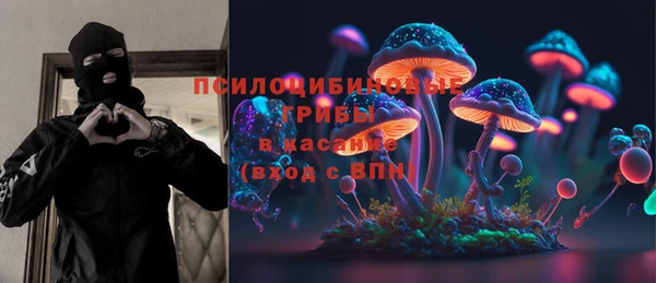 соль курить ск Белокуриха