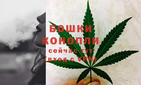 соль курить ск Белокуриха