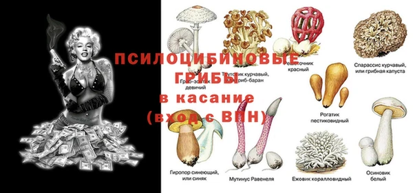 прущие крисы Беломорск