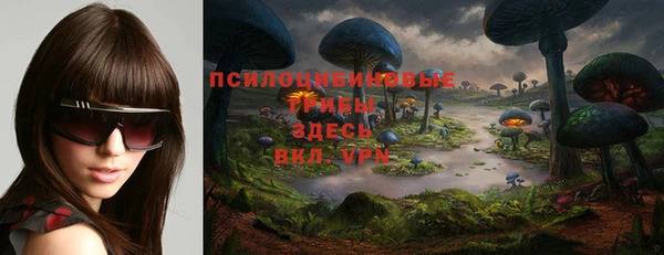 соль курить ск Белокуриха