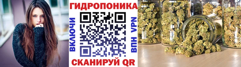 Конопля ГИДРОПОН  darknet как зайти  Новокубанск 